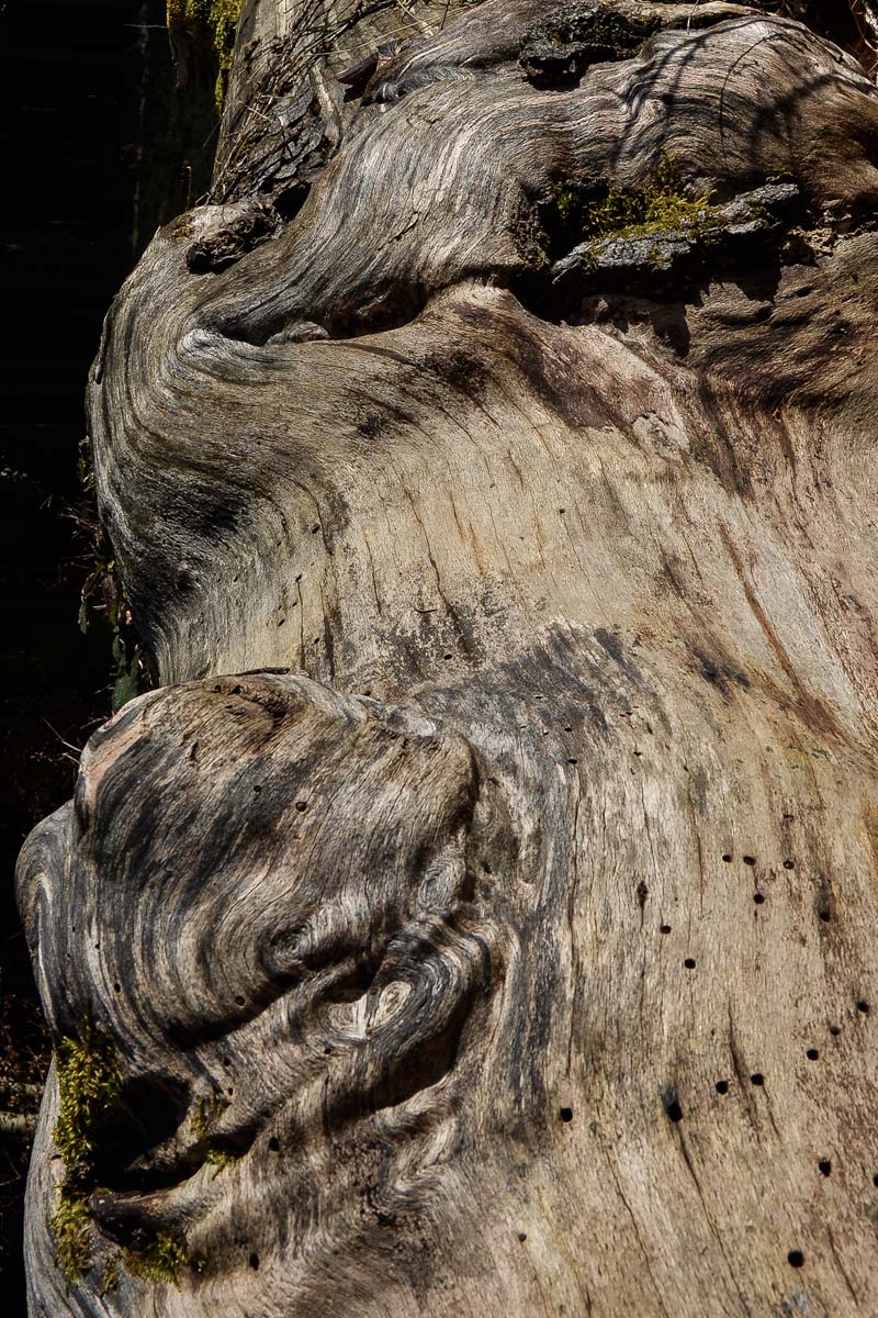 Rubrikfoto - Detail/Zoom - Ulrike Kersten